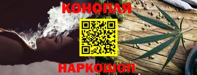 хмурый Краснодар