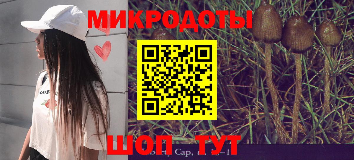 Псилоцибиновые грибы Cubensis  Вход с VPN  Якутск 